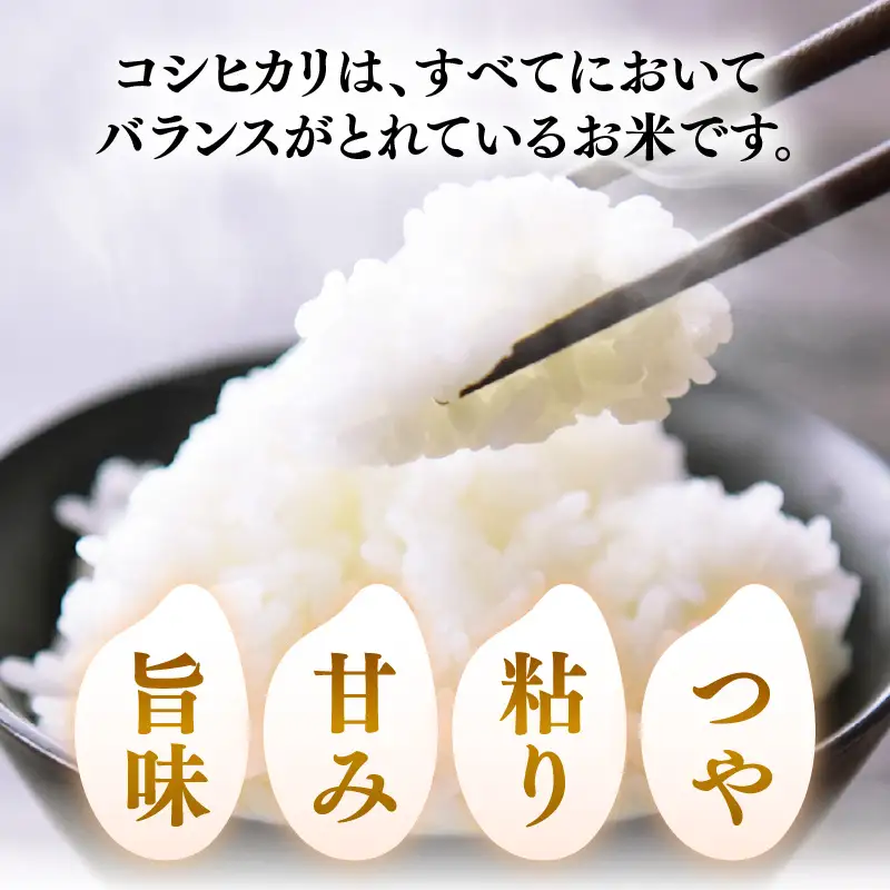 【先行予約】【令和8年産】【定期便3回】≪3ヶ月連続お届け≫ 化学肥料不使用 コシヒカリ 精米 4kg (真空パック1kg×4袋) × 3回（合計12kg）※2026年10月上旬より順次発送予定 [aw010-c031]