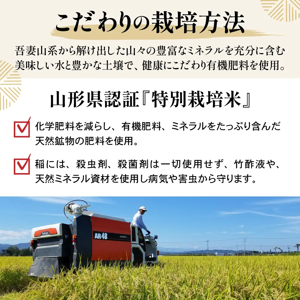 【 令和8年産 】 特別栽培米 雪若丸 計10kg ( 5kg×2袋 ) 