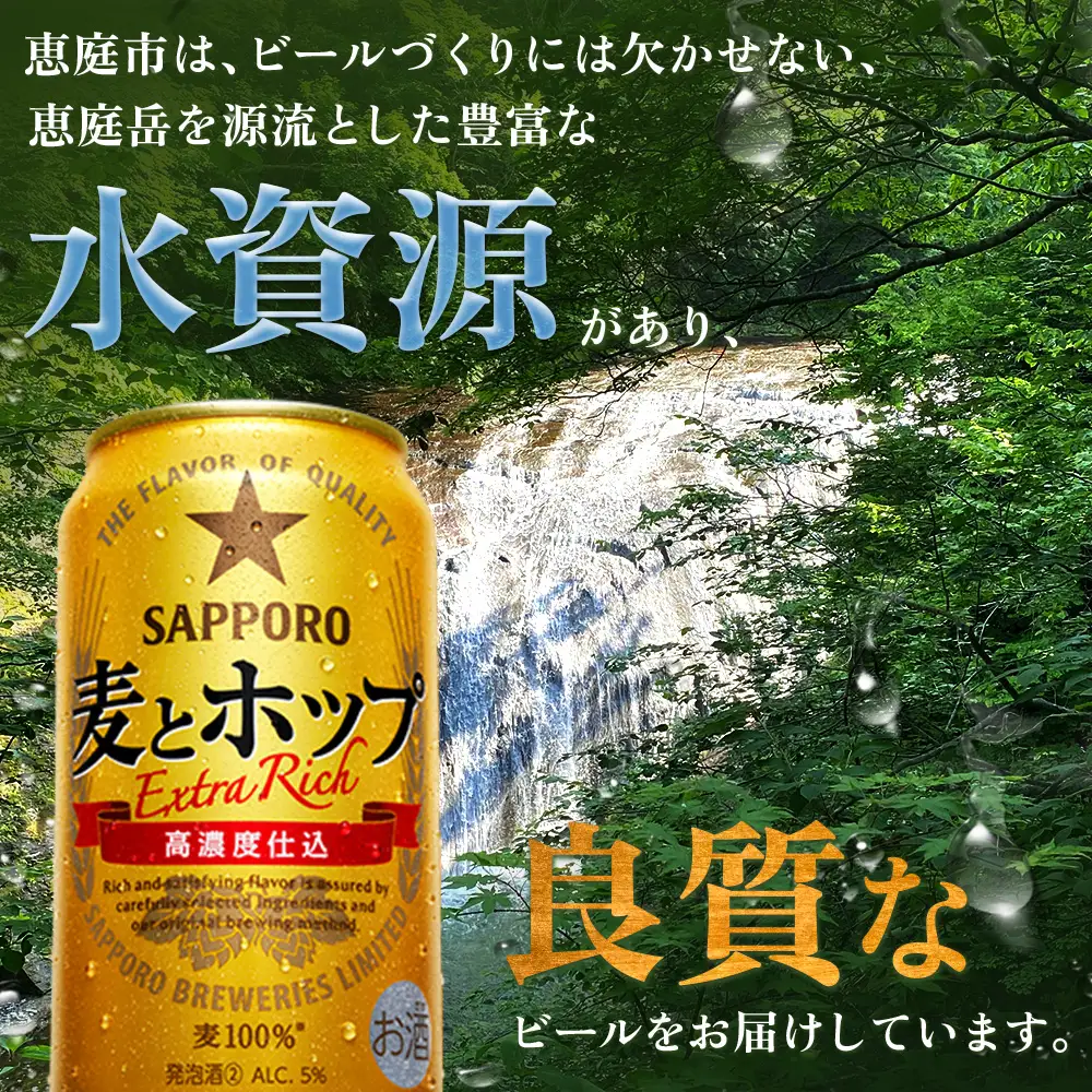 麦とホップ500ml×24本【930210143】