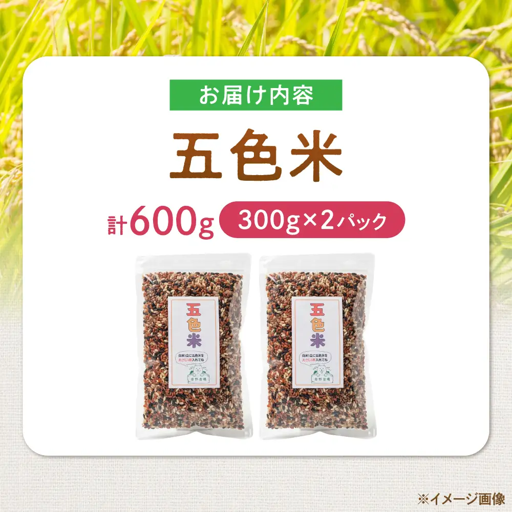 五色米 600g（300g×2）[AQDT016]