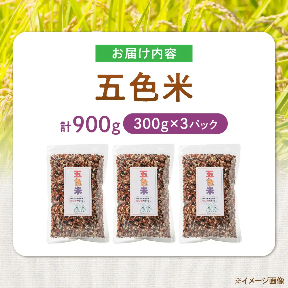 五色米 900g（300g×3）[AQDT017]