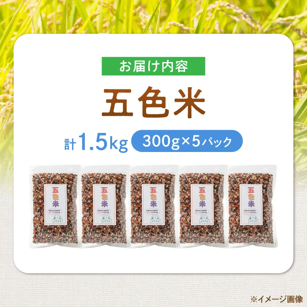五色米 1.5kg（300g×5）[AQDT018]