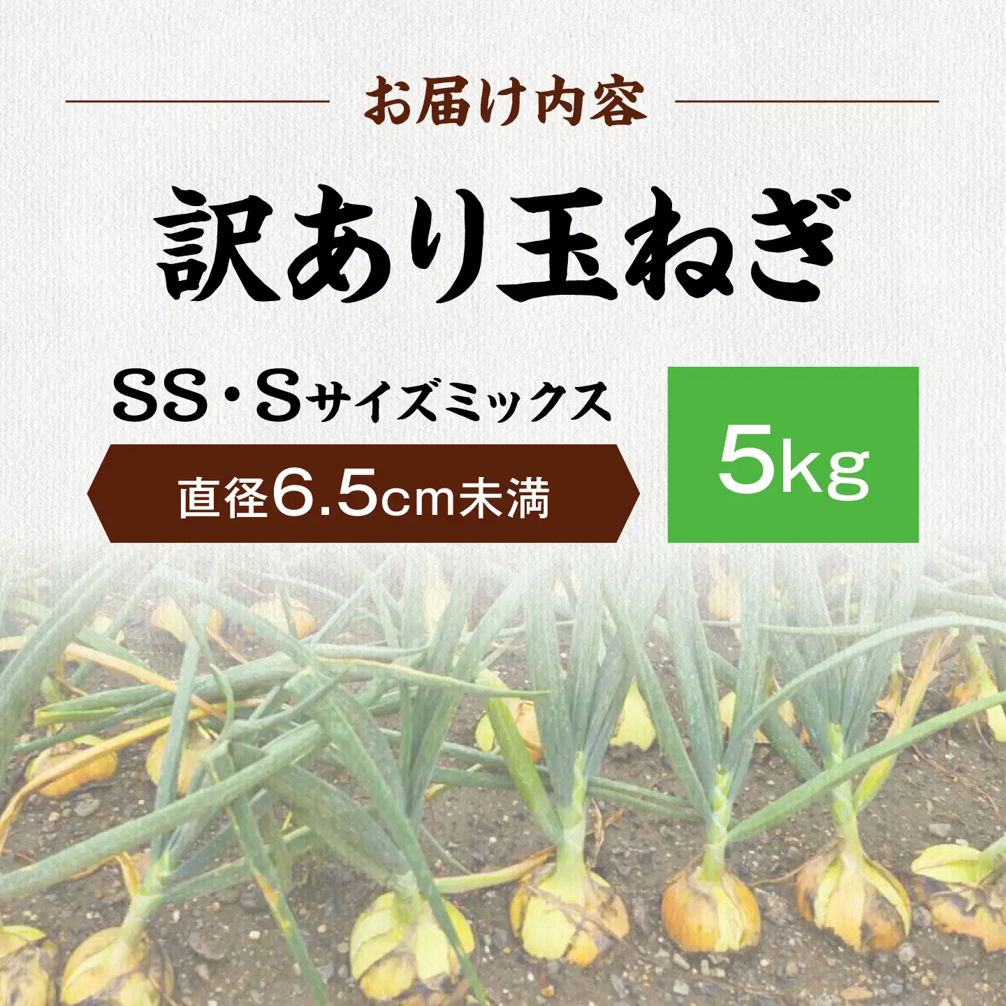 【先行予約】【訳あり】玉ねぎ5kg（SS・Sサイズミックス）[AQDZ001]玉ねぎ