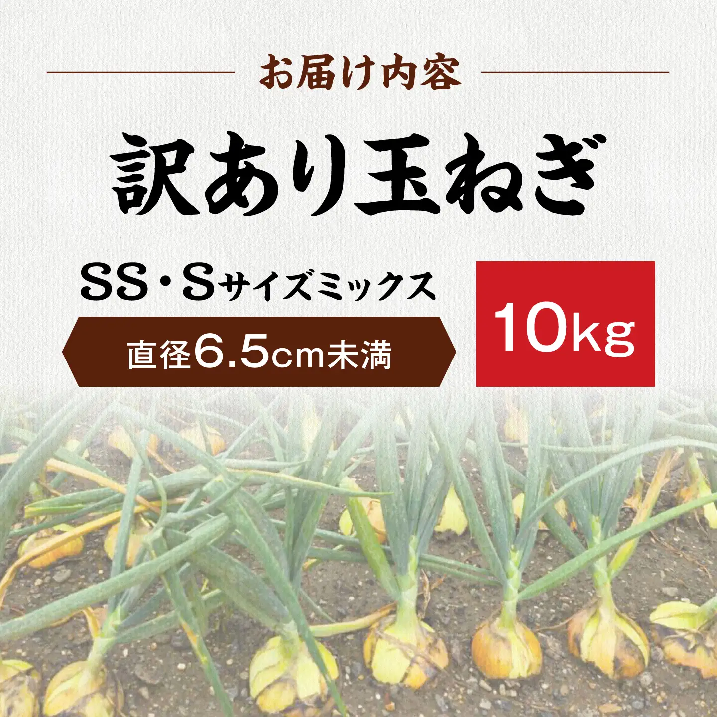 【先行予約】【訳あり】玉ねぎ10kg（SS・Sサイズミックス）[AQDZ002]玉ねぎ