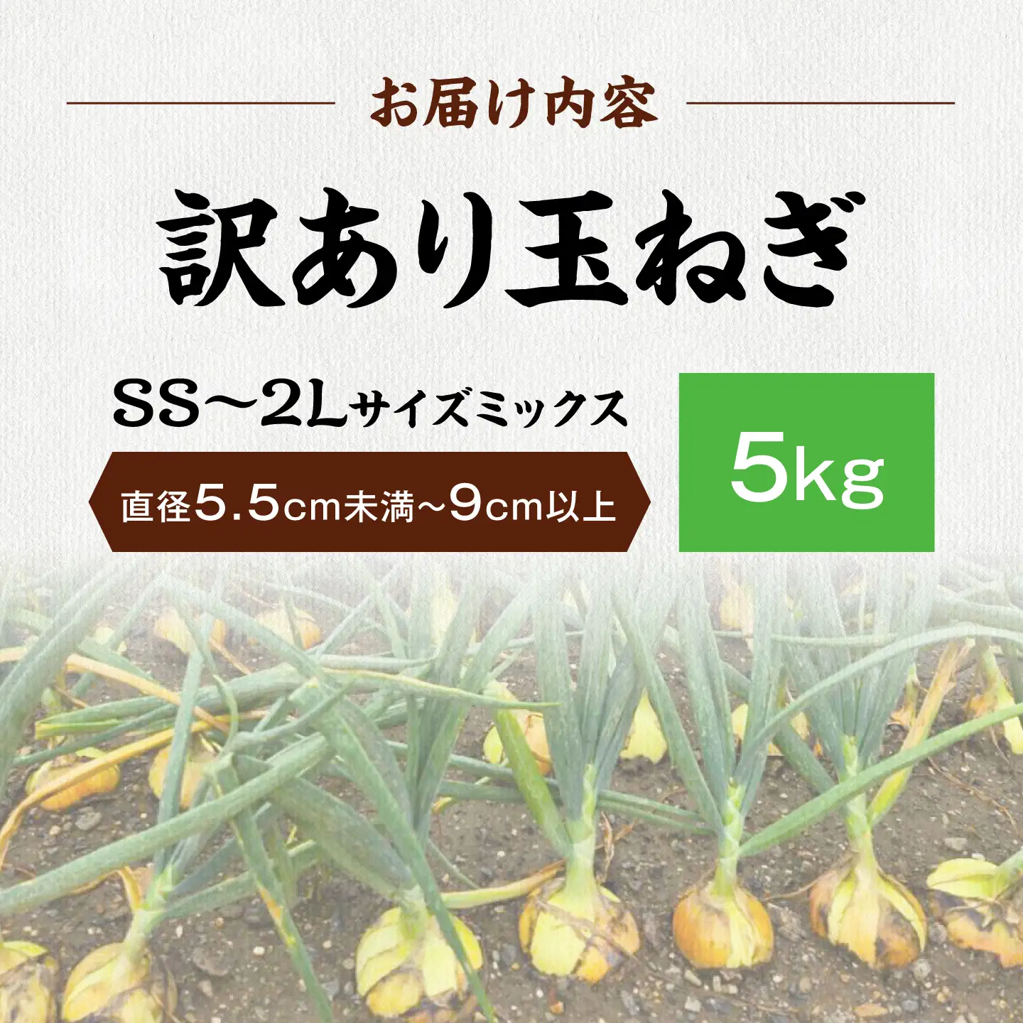 【先行予約】【訳あり】玉ねぎ5kg（全サイズミックス）[AQDZ003]玉ねぎ