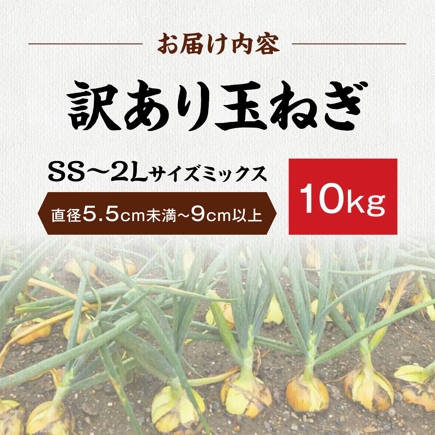 【先行予約】【訳あり】玉ねぎ10kg（全サイズミックス）[AQDZ004]玉ねぎ