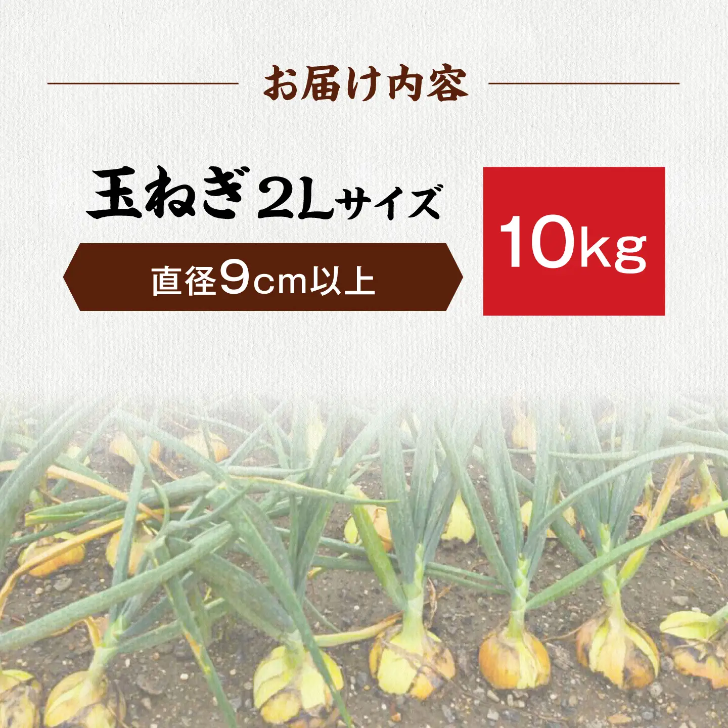 【先行予約】玉ねぎ10kg（2Lサイズ）[AQDZ012]玉ねぎ