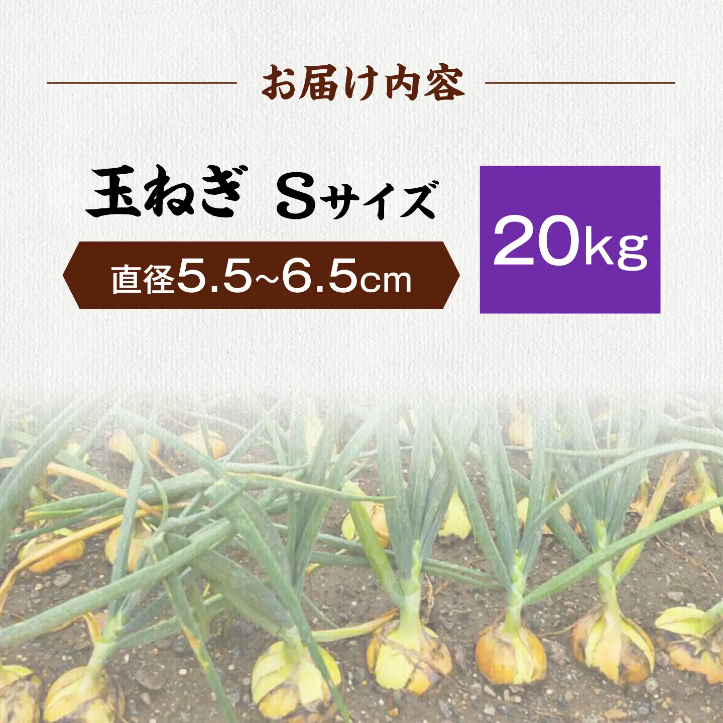 【先行予約】玉ねぎ20kg（Sサイズ）[AQDZ013]玉ねぎ