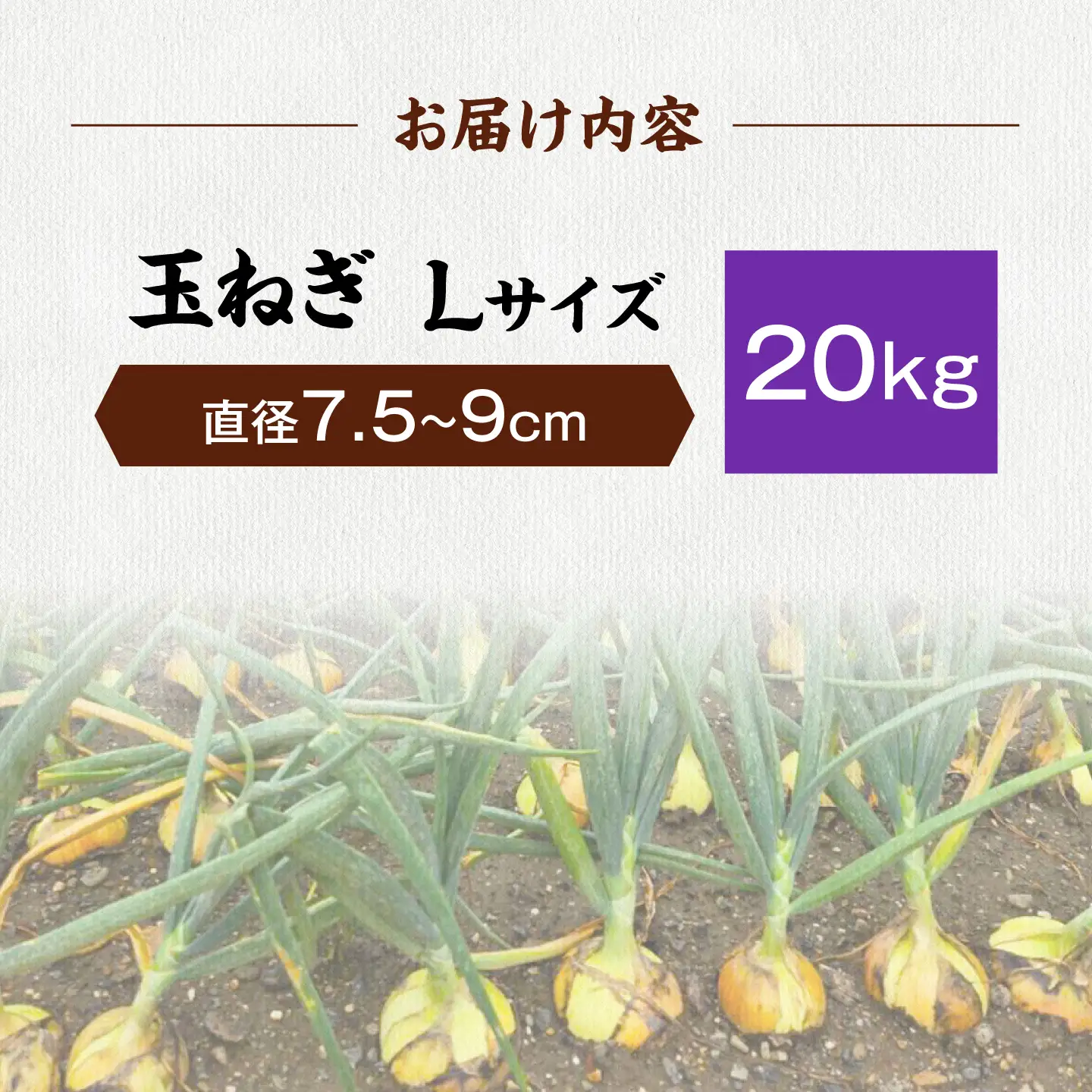 【先行予約】玉ねぎ20kg（Lサイズ）[AQDZ015]玉ねぎ