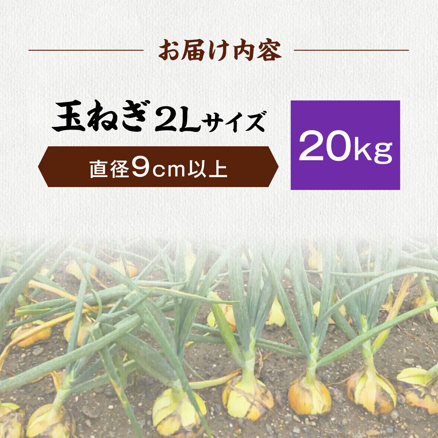 【先行予約】玉ねぎ20kg（2Lサイズ）[AQDZ016]玉ねぎ