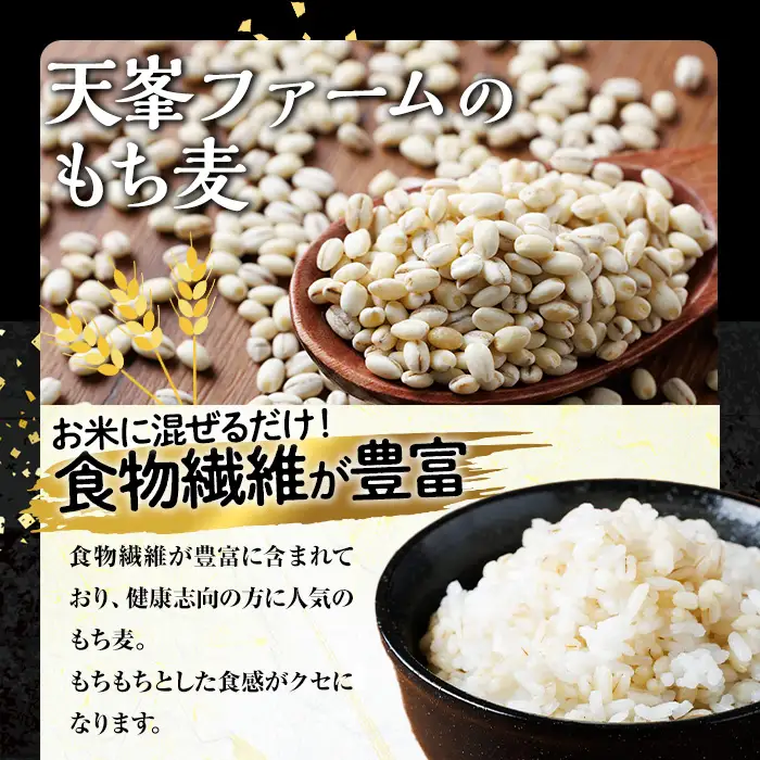 ＜定期便・総計4回＞大分県産もち麦 キラリモチ(総計20kg(5kg×4回(3ヶ月毎))ダイエット 健康 業務用【212400100】【天峯ファーム】