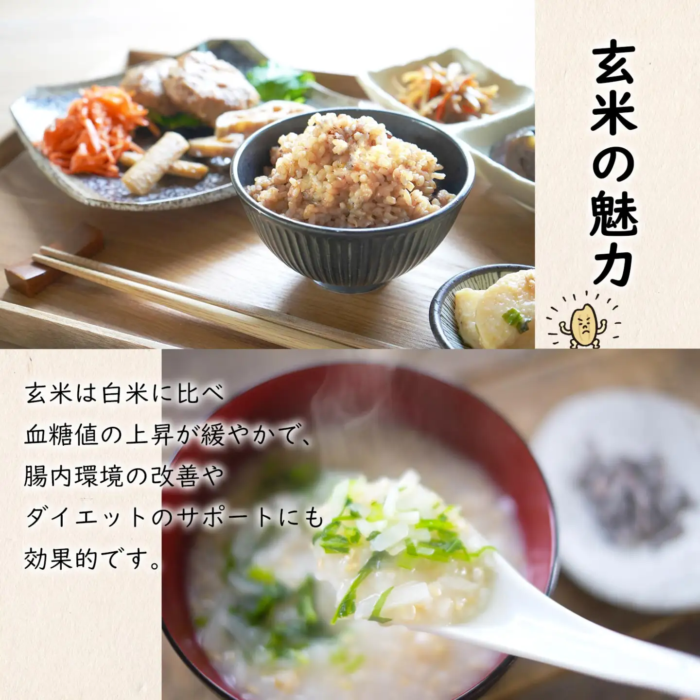 【令和7年産】米 玄米 コシヒカリ 5kg 国産 茨城県 境町産 S278