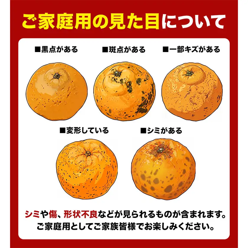 ご家庭用 不知火 約800g 