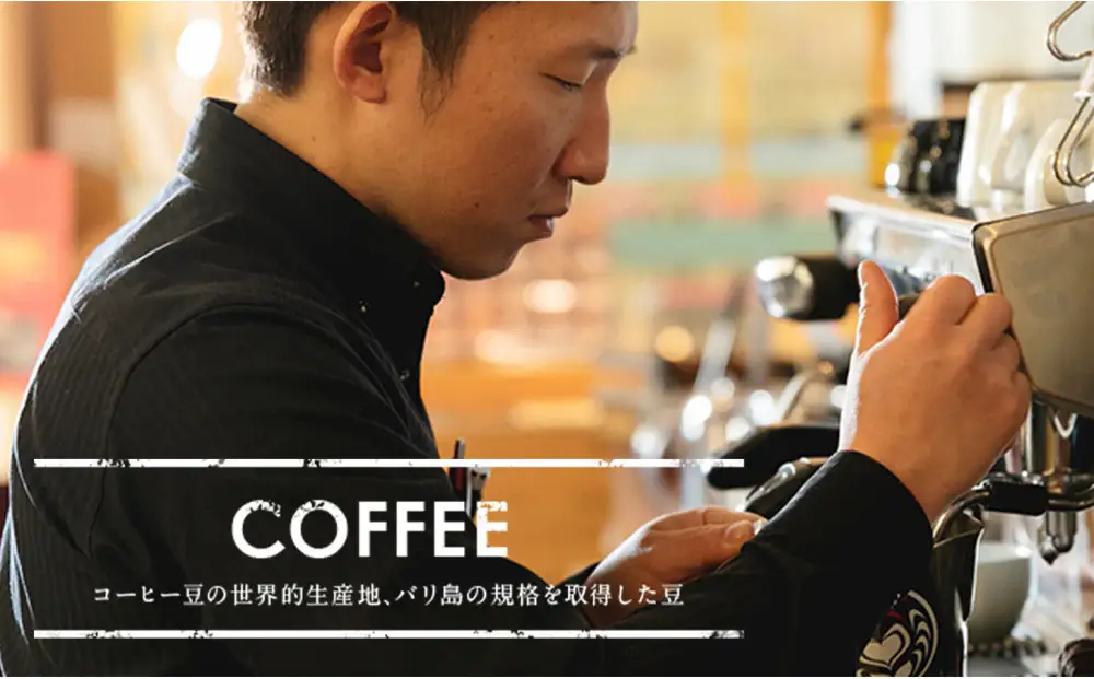 【定期便全2回】 バリ島中煎り 200g×5袋 1セット コーヒー豆 珈琲豆 中煎り焙煎 コーヒー 珈琲 ドリップコーヒー スペシャルティコーヒー バリ島産 バリ島コーヒー豆  家カフェ 香川県 高松市