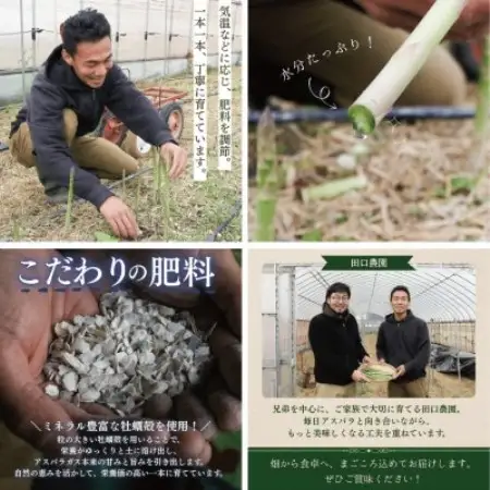 【訳あり】アスパラガス1kg 2026年産 朝採りアスパラ　S～2Lサイズを農家直送でお届け【配送不可地域：離島】【1733760】