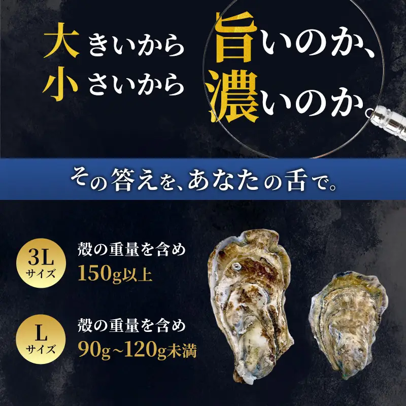 厚岸産 ブランド 殻付カキ マルえもん 生食用 サイズ食べ比べ 12個 (3L・L各6個)[ 魚貝類 生牡蠣 かき 牡蠣 カキ 生ガキ 食べ比べ ]