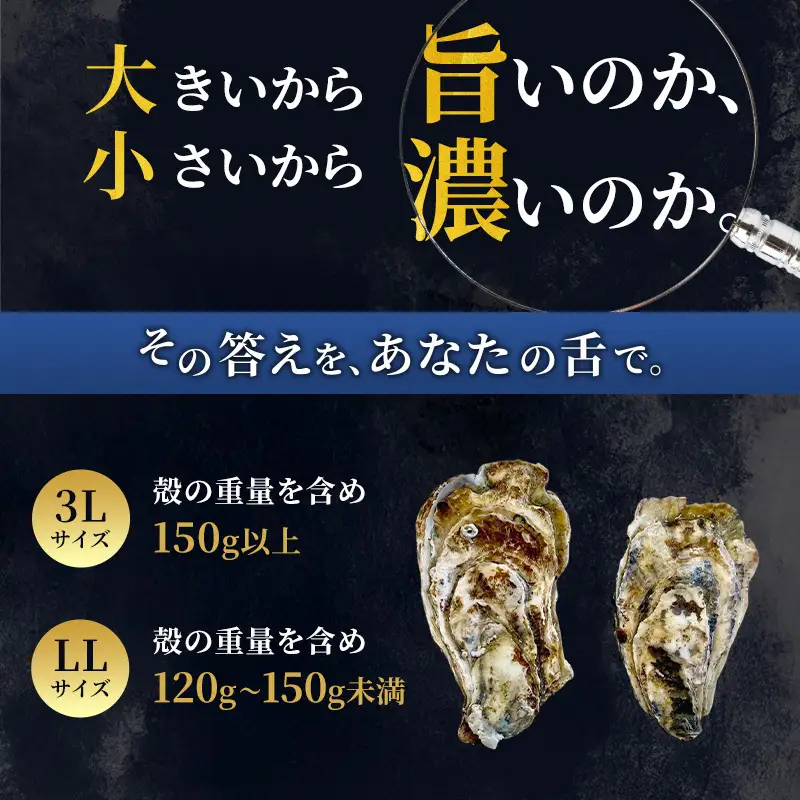 厚岸産 ブランド 殻付カキ マルえもん 生食用 サイズ食べ比べ 24個 (3L・LL各12個)[ 魚貝類 生牡蠣 かき 牡蠣 カキ 生ガキ 食べ比べ ]