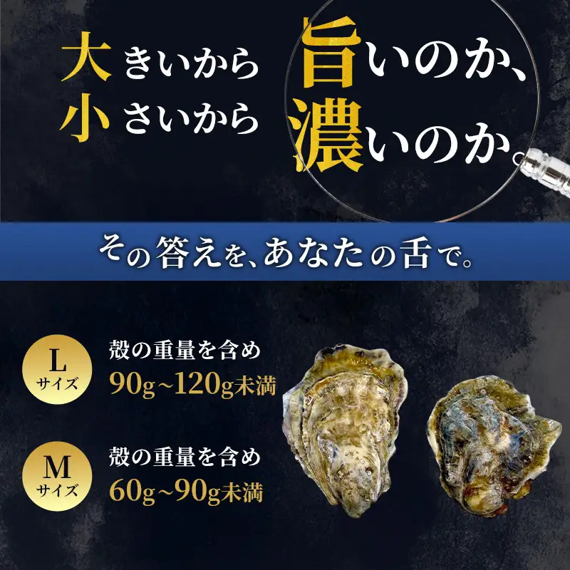 厚岸産 ブランド 殻付カキ マルえもん 生食用 サイズ食べ比べ 24個 (L・M各12個)[ 魚貝類 生牡蠣 かき 牡蠣 カキ 生ガキ 食べ比べ ]
