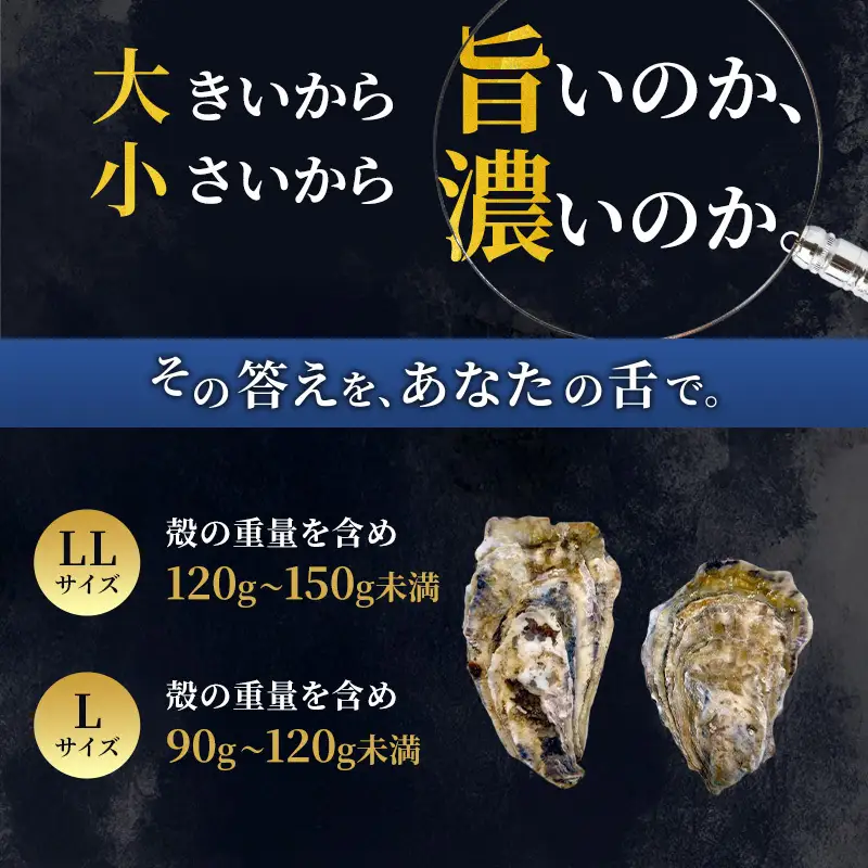 【 3ヵ月 定期便 】 厚岸産 ブランド 殻付カキ マルえもん 生食用 サイズ食べ比べ 12個 (LL・L各6個)[ 魚貝類 生牡蠣 かき 牡蠣 カキ 生ガキ 食べ比べ ]
