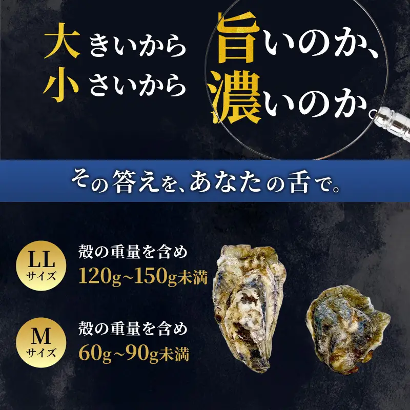 【 3ヵ月 定期便 】 厚岸産 ブランド 殻付カキ マルえもん 生食用 サイズ食べ比べ 12個 (LL・M各6個)[ 魚貝類 生牡蠣 かき 牡蠣 カキ 生ガキ 食べ比べ ]