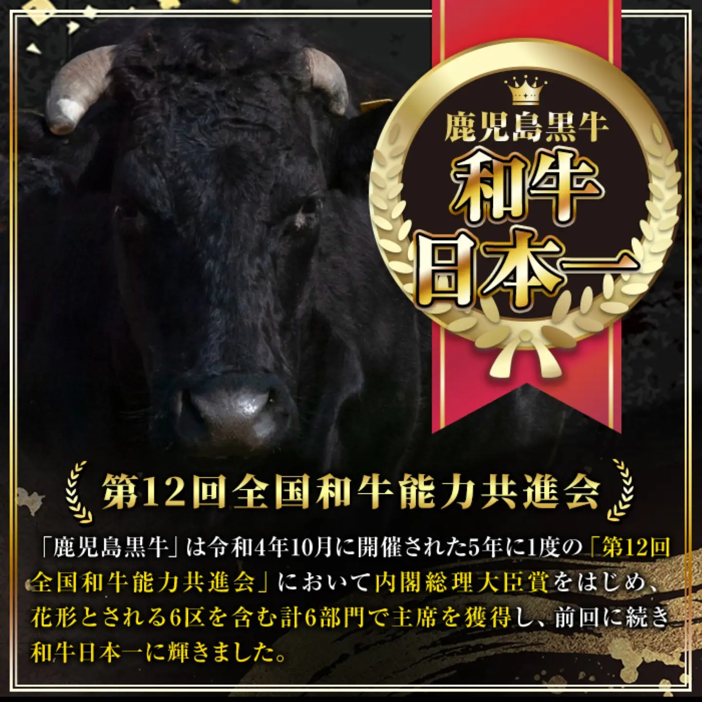【A92013】鹿児島黒牛 牛テール(計1kg・約500g×2P) 鹿児島 九州産 国産 国産牛 牛肉 黒毛和牛 希少部位 テール コラーゲン 煮込み テールスープ 冷凍 【新村畜産】