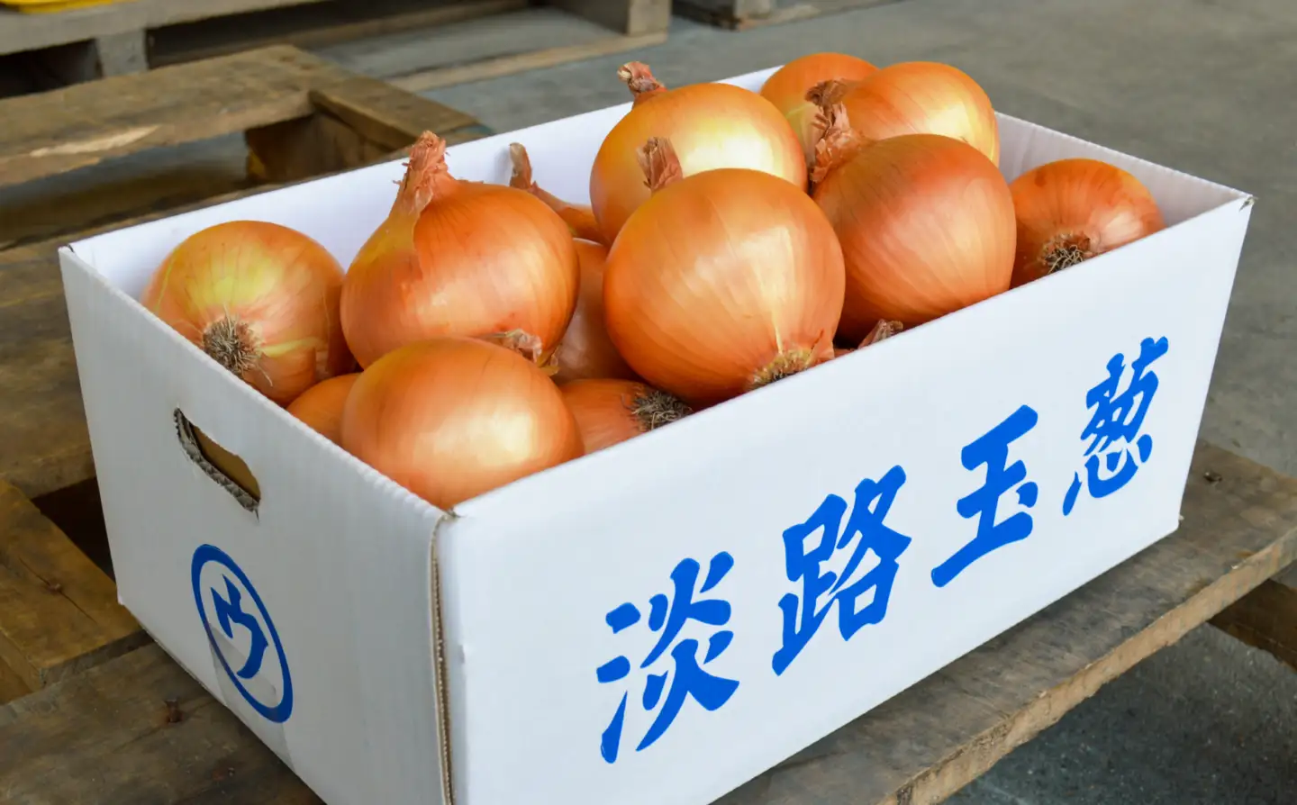 【淡路島の青果屋】【完熟玉ねぎ予約】淡路島産たまねぎ　5kg 甘さに自信!!ほんまもん!!　◆R8.5月末～発送