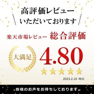 G7広島サミットコーヒーブレイクで採用！瀬戸田レモンケーキ島ごころ15個