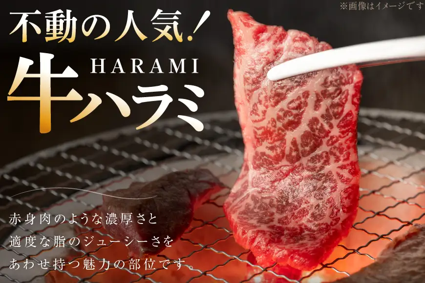 牛肉 味付き 牛ハラミ 300g 3P 計900g [からくわ精肉店 宮城県 気仙沼市 20566103]