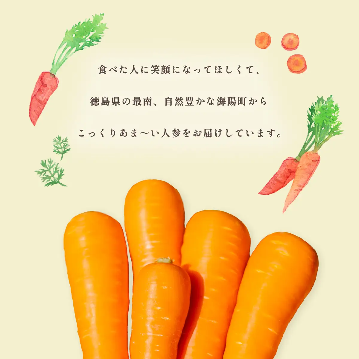 にんじん 濃紅みつキャロット 5kg 春にんじん 無選別 人参 ニンジン carrot 
