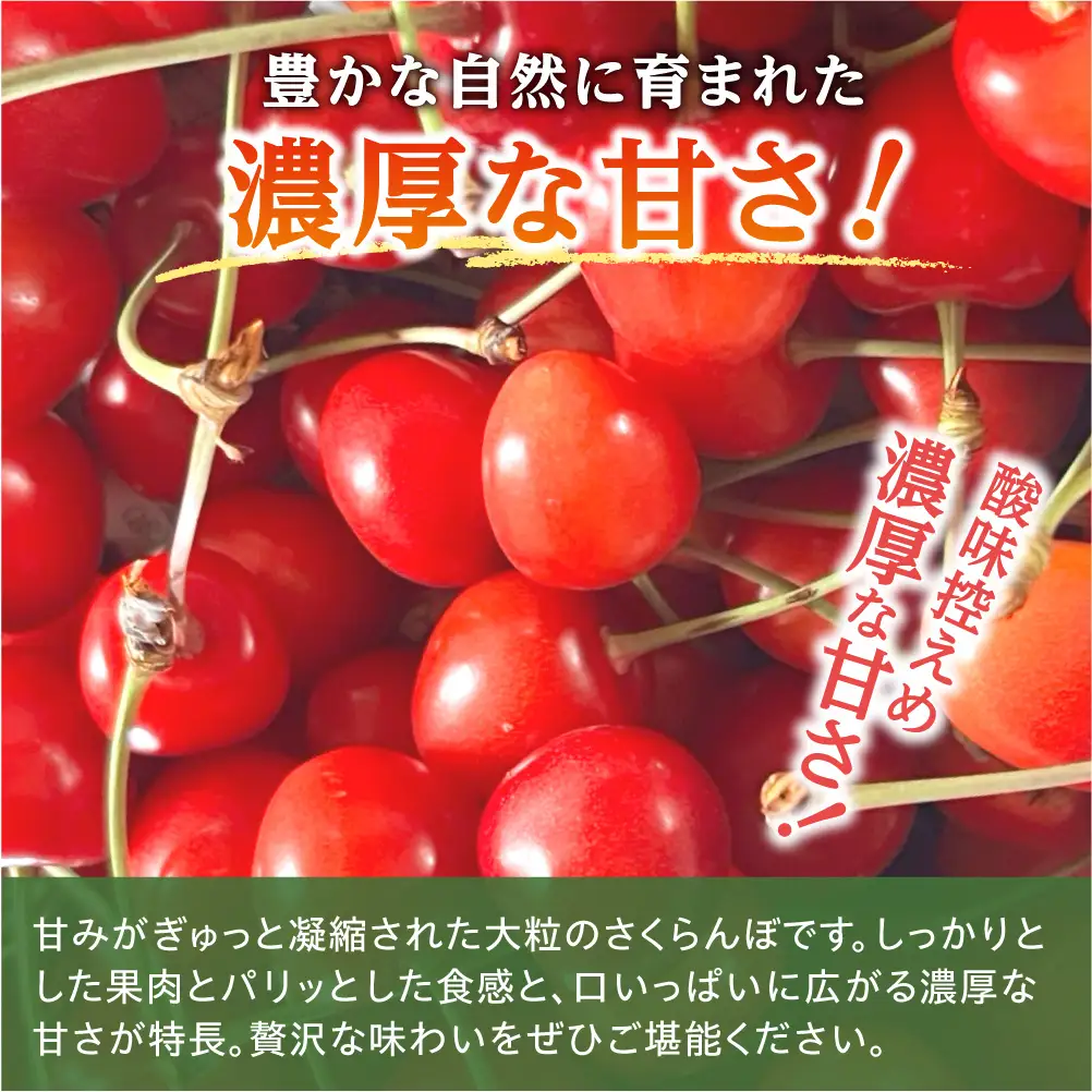 先行予約 パリッと食感のさくらんぼ 紅秀峰 720g L～2L 北海道余市産 さくらんぼ_Y168-0002