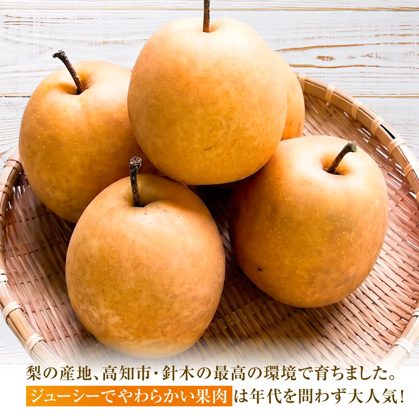 【先行予約】 王秋 約3kg（6～8玉） 〈2026年11月上旬～2026年12月10日〉 / 高知 王秋 梨 和梨 果物 フルーツ デザート 【川渕果樹園】[ATHX007]