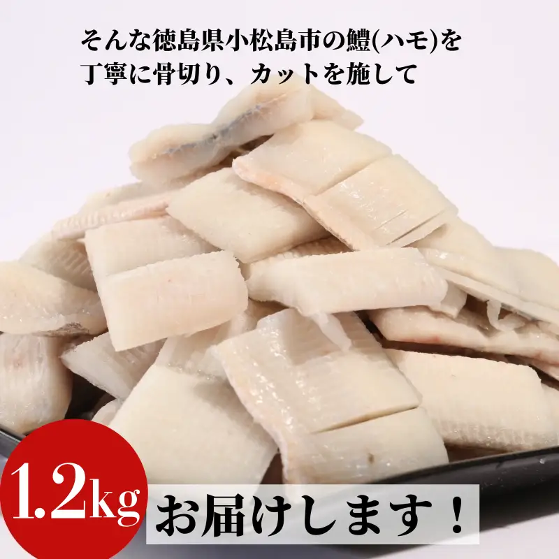 ハモ 切り身 定期便 偶数月 3回 1.2kg×3ヵ月 計3.6kg 小松島産 鱧 ハモ