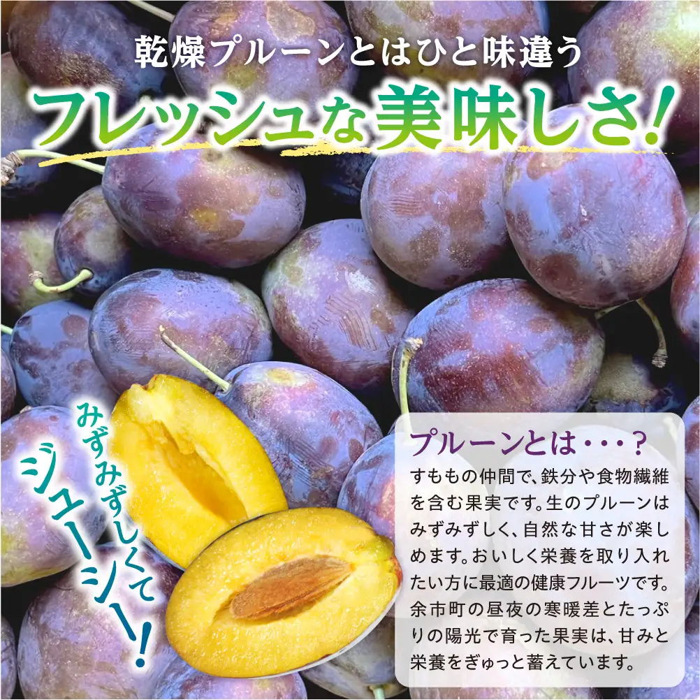 先行予約 サンプルーン 1.6kg 400g×4パック すもも プラム プルーン_Y168-0003