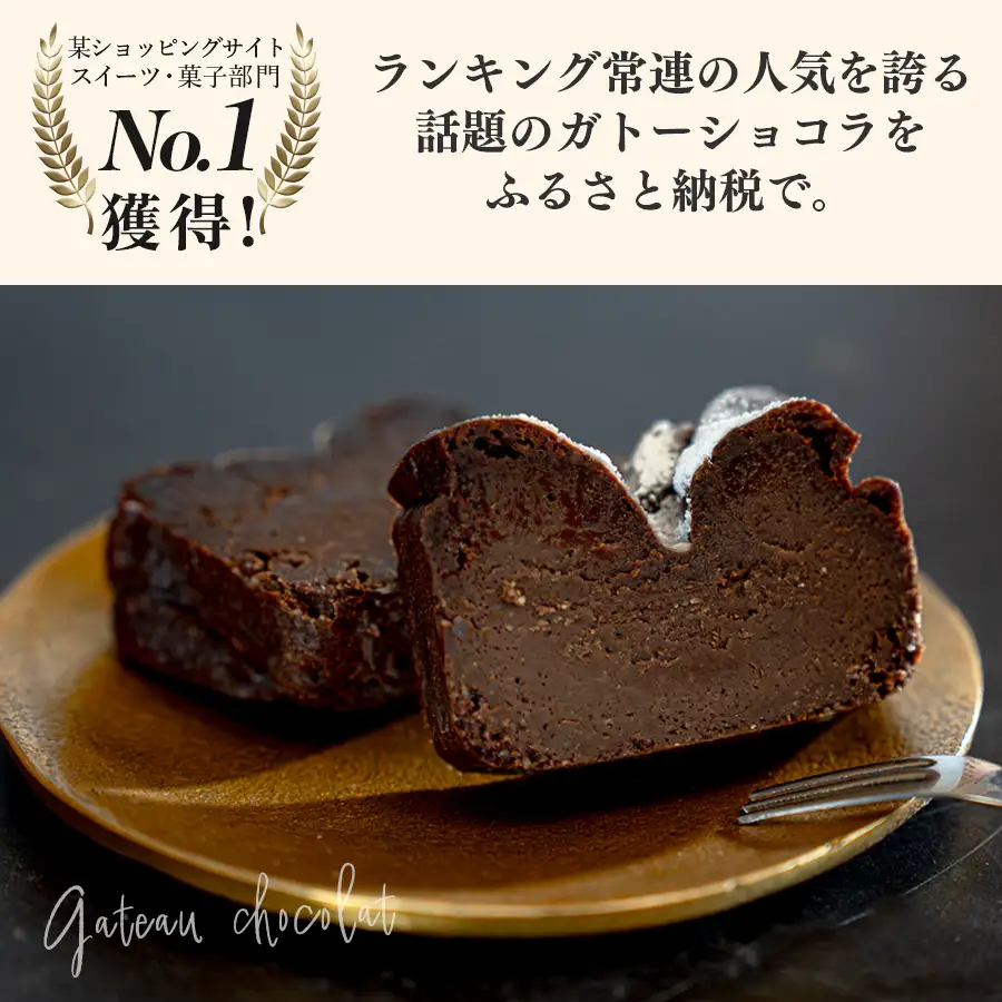 濃厚 ガトーショコラ 1本 18cm 定期便 6回 なめらか 小麦粉不使用 チョコレート ケーキ
