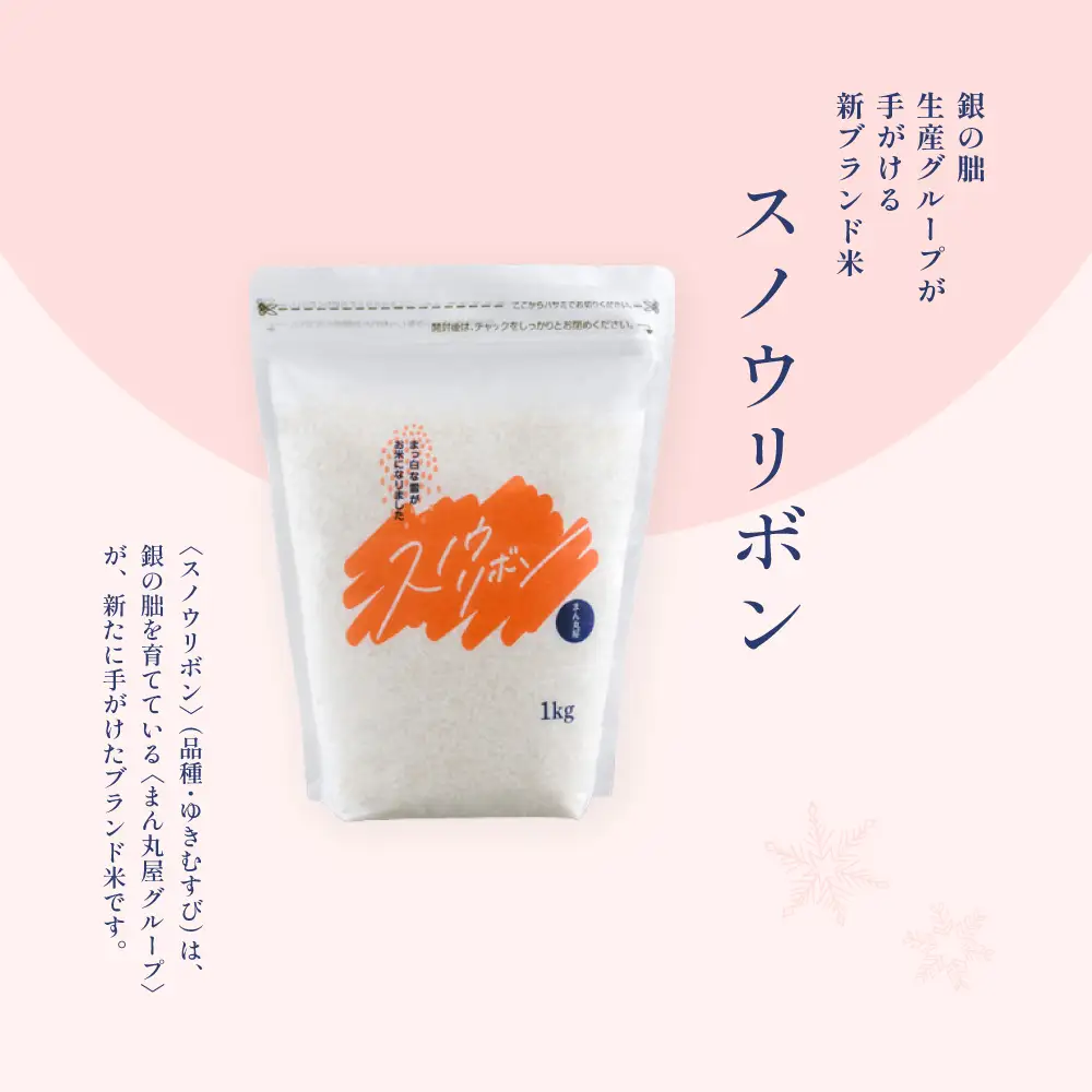 【2025年産米】スノウリボン（ゆきむすび）5kg×1袋【13-53】