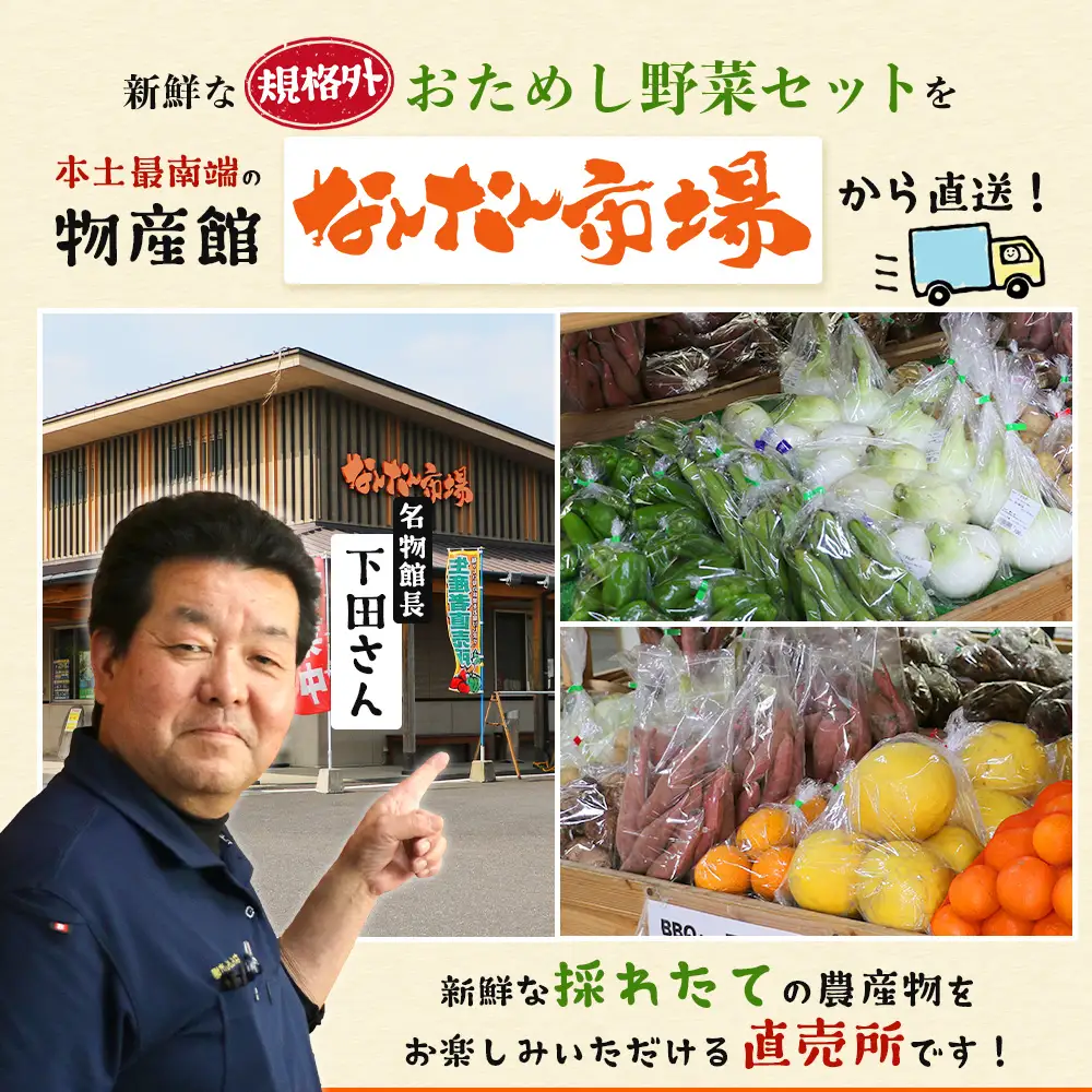 【規格外】本土最南端から 旬のお試し 野菜セット 8品目以上 NI-2 ｜ 旬 野菜 やさい 果物 くだもの 産地直送 農産物 冷蔵 鹿児島県 南大隅町産 詰合せ おまかせ 家庭用 訳あり なんたん市場