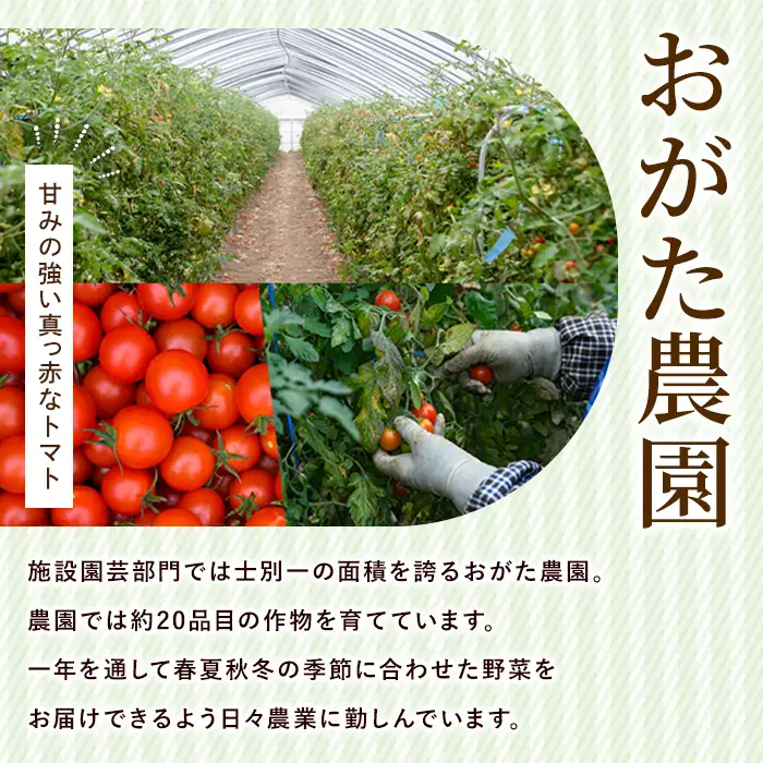 《数量限定》ミニトマトジュース5色セット＜陽の彩 ー ひのいろ ー＞ (180ml×5本) トマト ミニトマト ジュース トマトジュース ミニトマトジュース 飲料 甘味 酸味 野菜 ギフト プレゼント 【おがた農園】【B7103】