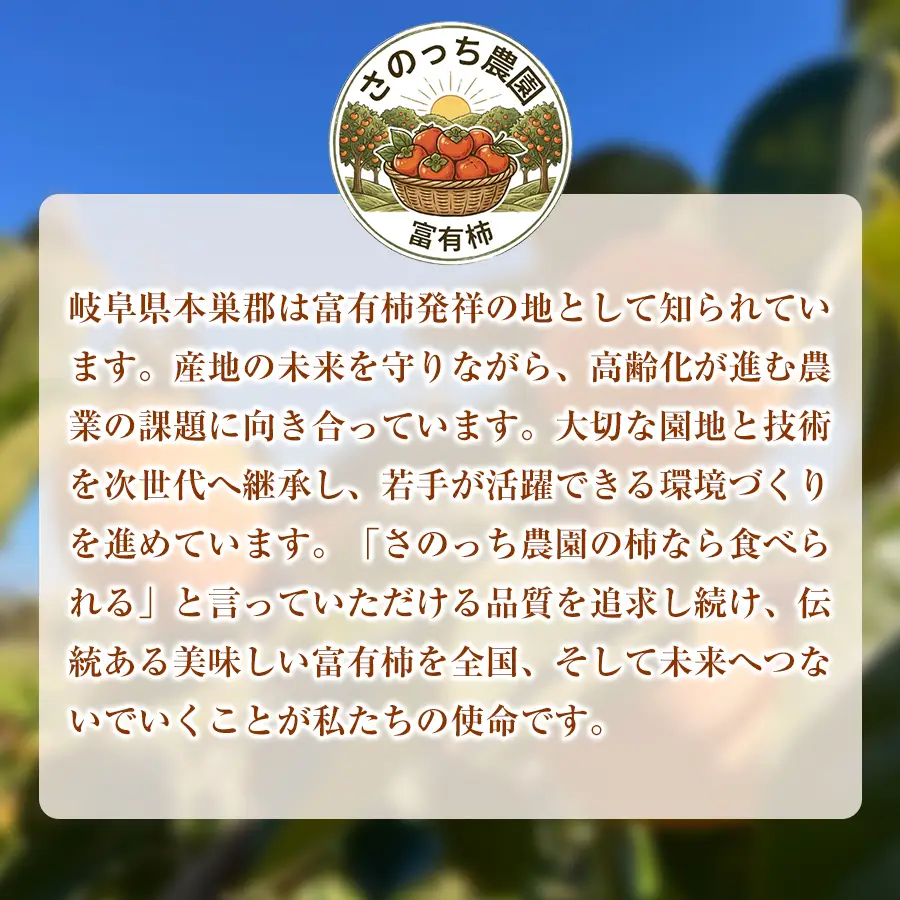 【訳あり品】先行予約 令和8年11月中旬順次発送 富有柿 ( 8個 ／ 1.8kg ) 1箱 岐阜県 本巣郡 北方町