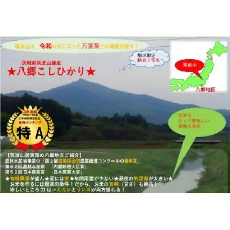 【玄米20kg⇒五分搗き米】筑波山麓厳選★検査1等米こしひかり【恋瀬姫の舞】令和7年産【配送不可地域：離島・沖縄県】【1733486】