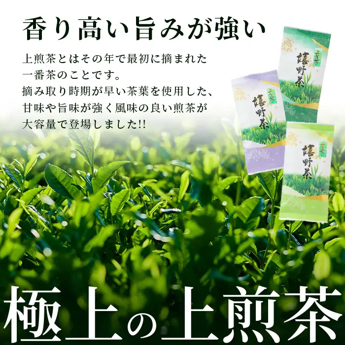 新茶 お茶 上煎茶 500g (100g×5本) 佐賀県 鹿島市 うれしの茶 嬉野茶 緑茶 日本茶 茶葉 煎茶 セット 伝統 九州 さが 国産 送料無料 ギフト 贈り物 贈答 お取り寄せ 深み コク 法事 普段使い 詰め合わせ 常温 保存 C-201