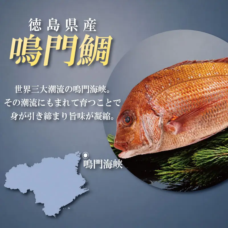 鳴門鯛 1kg ラウンド 1尾 鳴門鯛