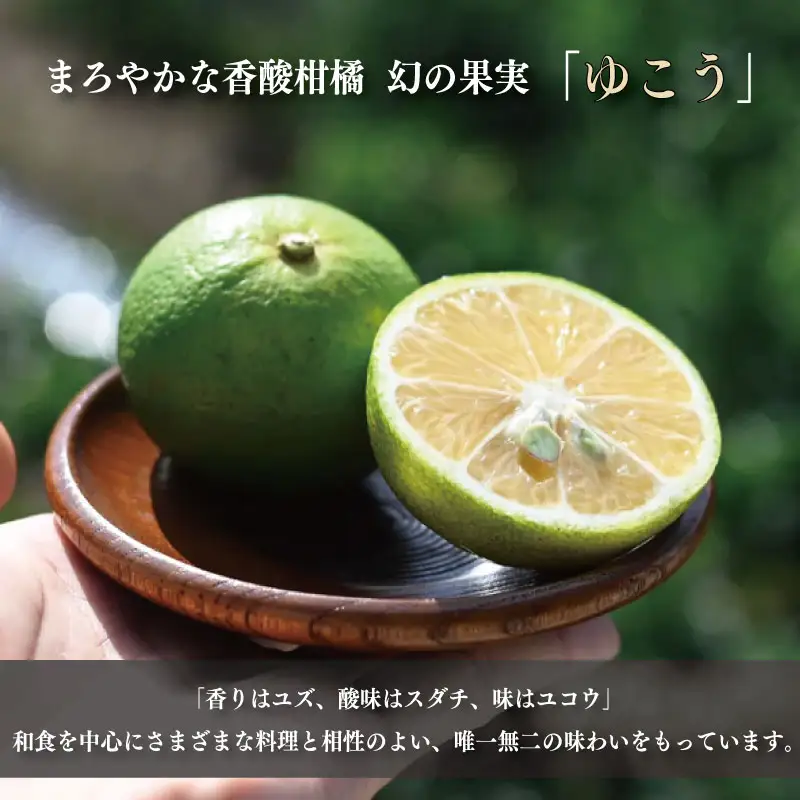 ゆこう くるみ ドレッシング 150ml × 2本 ゆこう