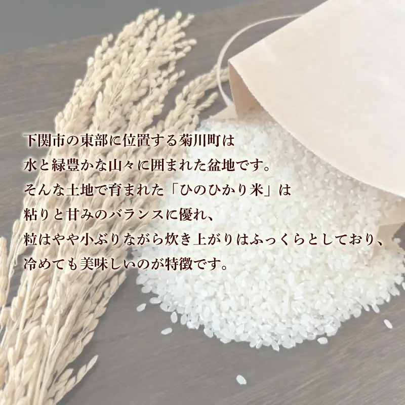 【定期便 6ヶ月】令和7年産 米 ひのひかり 10kg 下関 山口 LO002-B