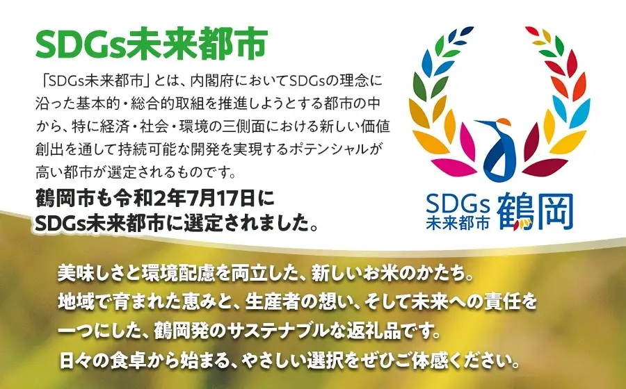 【令和8年6月上旬発送】【SDGs特別企画】 鶴岡産 令和７年産 つや姫 無洗米 5kg (5kg×1袋)　一等米　SDGs未来都市‟いのち輝く、創造と伝統のまち 鶴岡“ 環境に配慮した特別仕様 ＳＤＧｓ 特別企画品