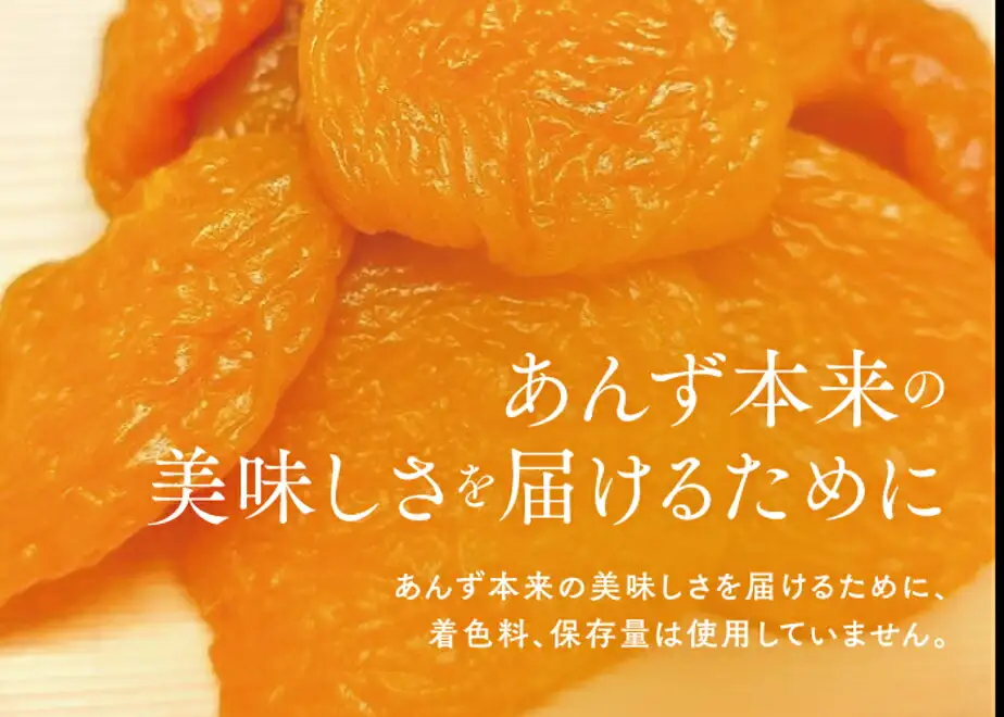 セミドライ 極撰 究極な半生杏子（100g×2袋） | あんず