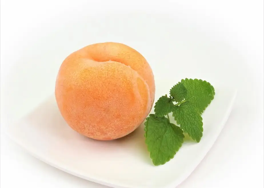 まるごとひんやり生あんず（冷凍あんず5個） | あんず