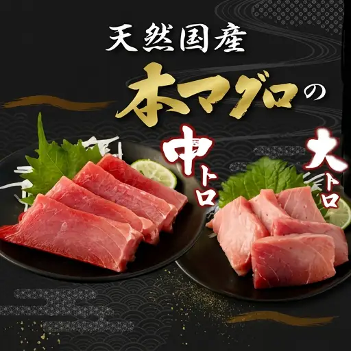 【数量限定】 厳選 天然本マグロ 中トロ・大トロ 500ｇ以上 国産 鮮魚 マグロ 魚 刺身 刺し身 漬け丼 海鮮丼 おかず 魚介類 海鮮 海産物 まぐろ 本まぐろ 鮪 ブロック 惣菜 冷凍 美阿丸 高知県 室戸市