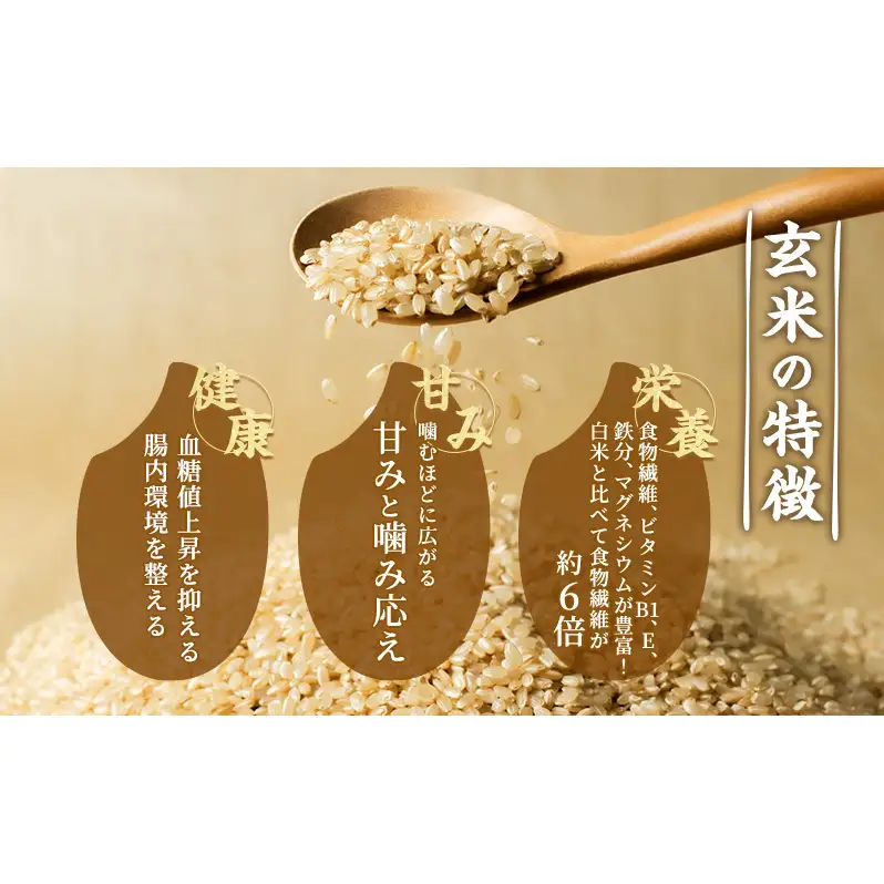 ■あいちのかおり　１５㎏　令和7年新米の玄米　玄米で保存して必要なときに必要なだけ精米して食べると新鮮な白米を食べることが可能です■ 愛知県産 あいちのかおり 玄米 5kg お米 玄米 ライス ご飯 おにぎり お