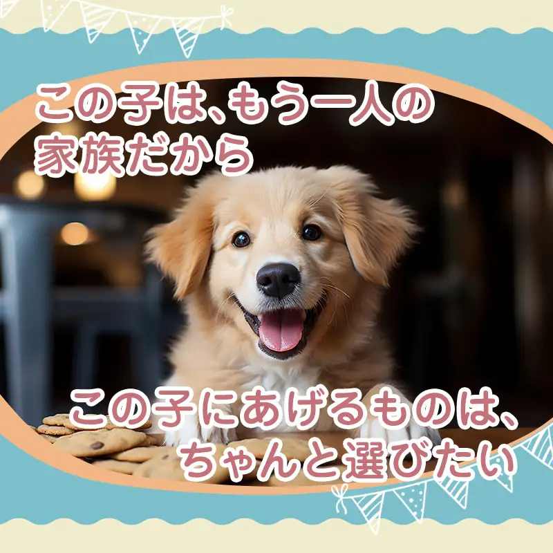 犬 おやつ 国産 食べ比べ  3パック 干し芋 おふラスク ポテトクッキー 個包装 保存料・着色料不使用