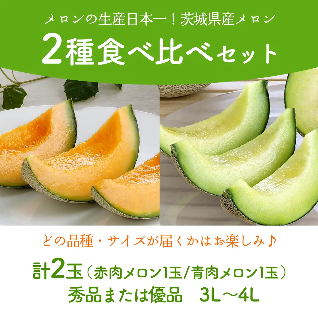 【6月上旬頃より発送】茨城県産 青肉・赤肉メロンセット 秀品または優品 3Lまたは4Lサイズ×各1玉入